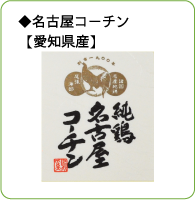 名古屋コーチン【愛知県産】